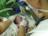 DSCF5083.JPG