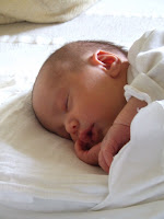 DSCF5210.JPG