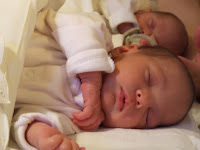 DSCF5242.JPG