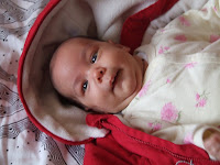 DSCF5469.JPG