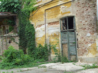 DSCF4447.JPG