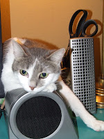 DSCF5924.JPG