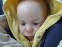DSCF6220.JPG