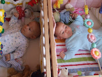 DSCF6348.JPG