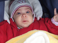DSCF6461.JPG