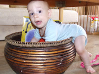 DSCF9381.JPG