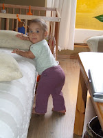 DSCF0312.JPG