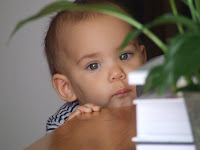 DSCF0981.JPG