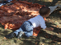 DSCF1420.JPG