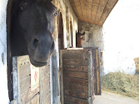 DSCF1360.JPG