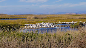 20090904-0500_1_2_comp80-40-90.jpg