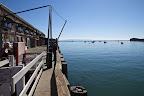 20091101-1069.jpg