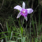 IMG_1896.JPG
