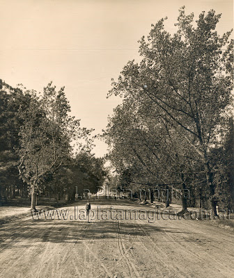 Las calles de la ciudad de La Plata a través de los años Las calles de la ciudad de La Plata a través de los años