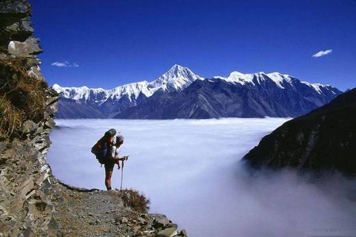 fantastic_nature_1.jpg