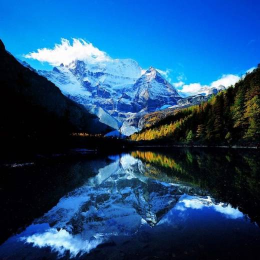 fantastic_nature_6.jpg