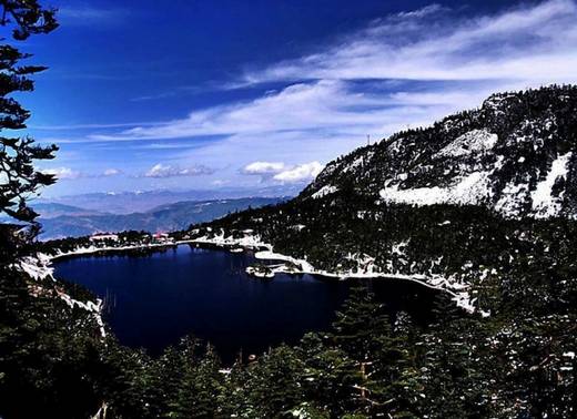 fantastic_nature_8.jpg