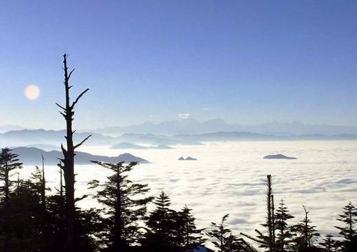 fantastic_nature_18.jpg