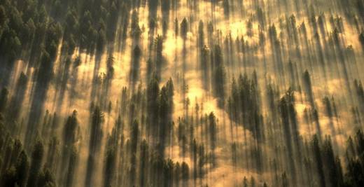 beautiful_nature_pictures_4.jpg