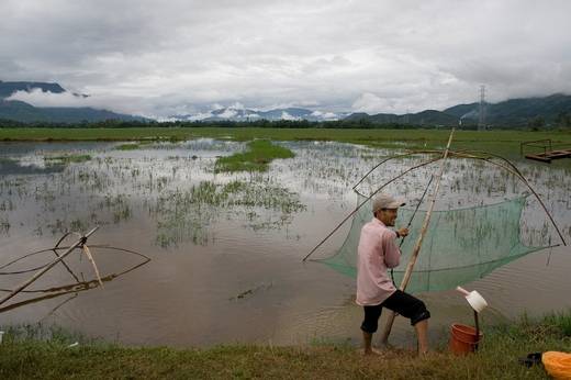 vietnam_photos_8.jpg