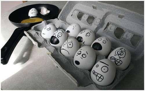 funny_creative_pictures_eggs_1.jpg