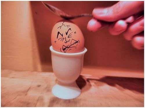 funny_creative_pictures_eggs_2.jpg