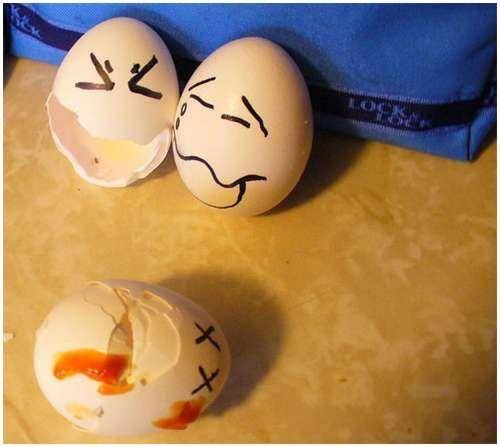 funny_creative_pictures_eggs_9.jpg
