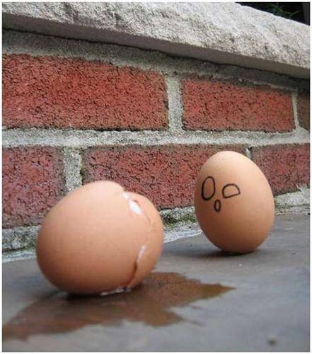 funny_creative_pictures_eggs_10.jpg