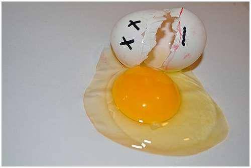 funny_creative_pictures_eggs_13.jpg