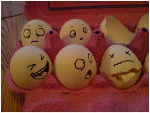 funny_creative_pictures_eggs_15.jpg