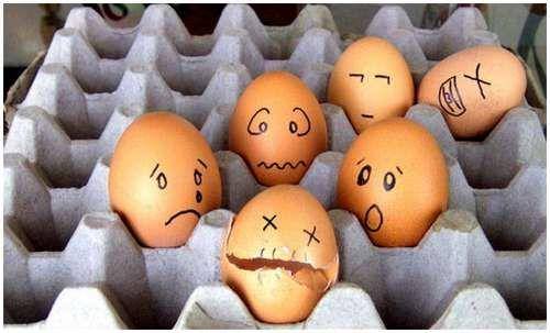 funny_creative_pictures_eggs_21.jpg