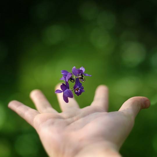 nature_photos_3.jpg