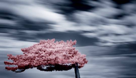 nature_photos_10.jpg