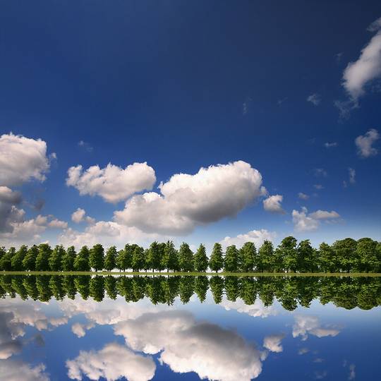 nature_photos_15.jpg
