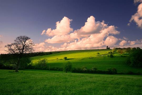 nature_photos_16.jpg