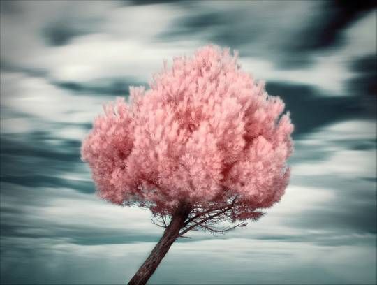 nature_photos_19.jpg
