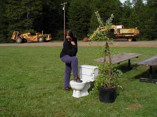 funny_toilet_4.jpg