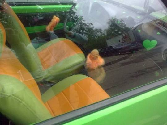 funny_pictures_07.jpg