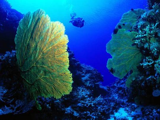 nature_human_pictures_16.jpg