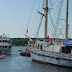 178.JPG