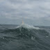 20100529_Pilies Regata_017.JPG