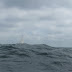 20100529_Pilies Regata_019.JPG