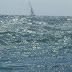 20100529_Pilies Regata_025.JPG