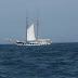20100530_Pilies Regata_015.JPG