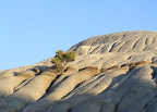 One Tree Hill one tree hill 2009