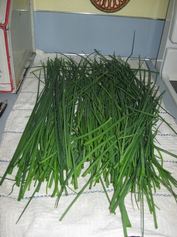[garden round 2 02[3].jpg]