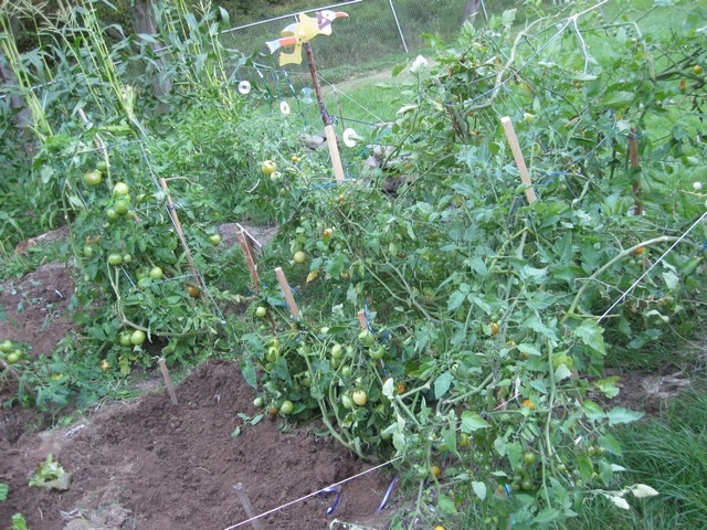 [garden round 2 11[2].jpg]