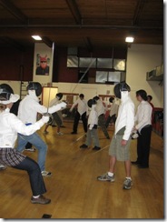 fencing 14