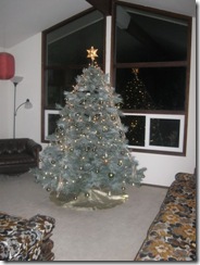 Christmas decor 12