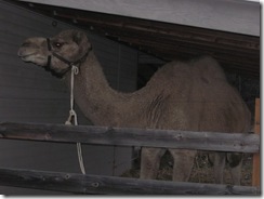 journey 2009 04